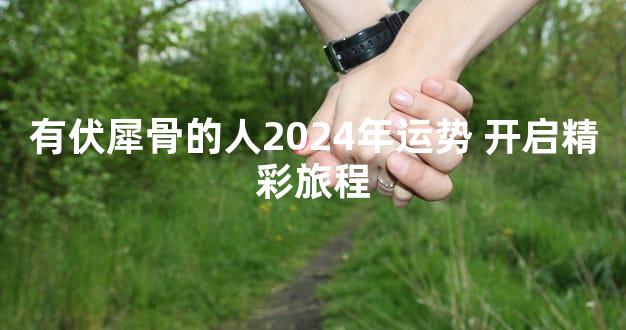 有伏犀骨的人2024年运势 开启精彩旅程